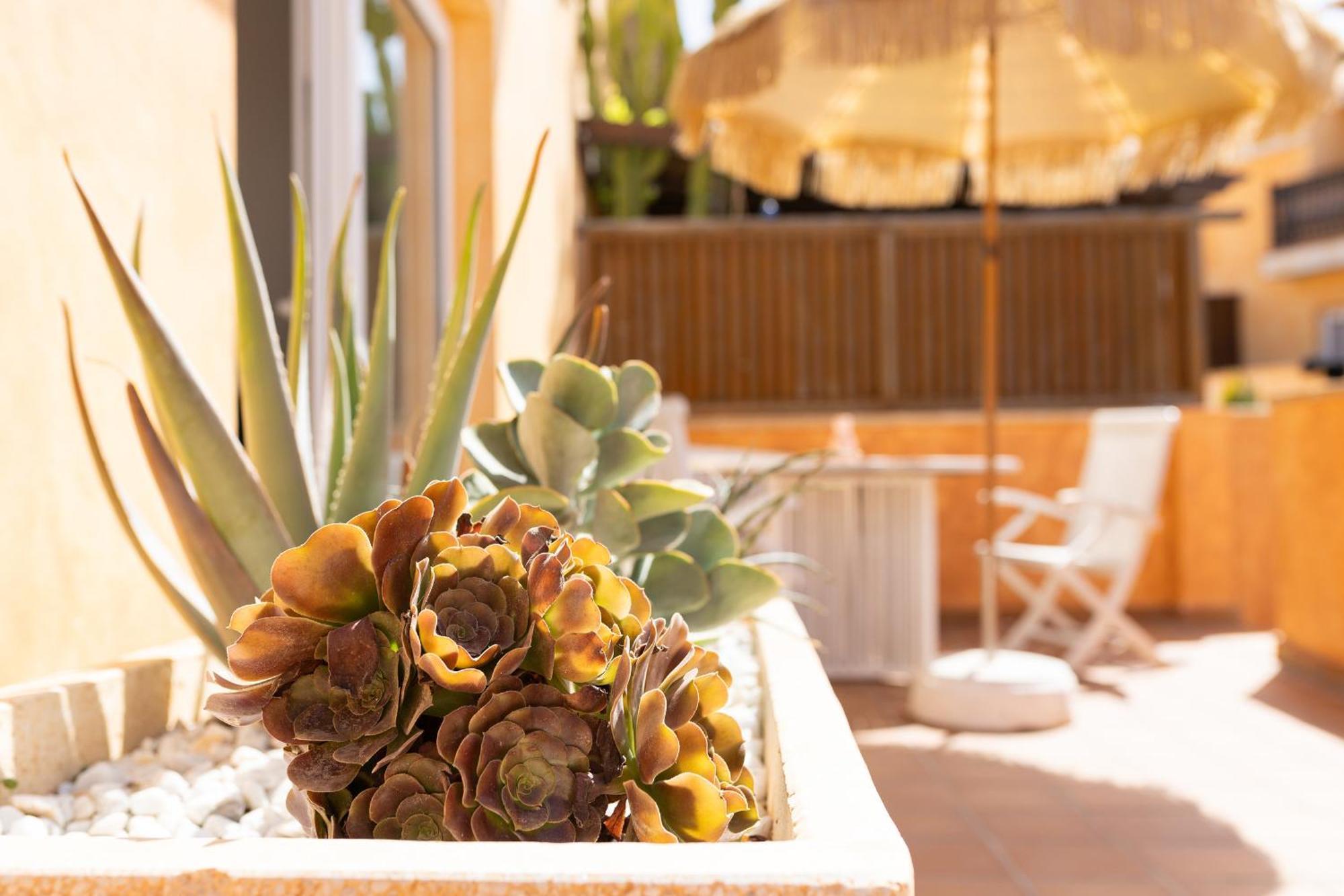Palm Beach House コラレホ エクステリア 写真